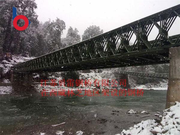 西藏林芝地区架设的贝雷钢桥